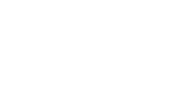 University of Pisa logo